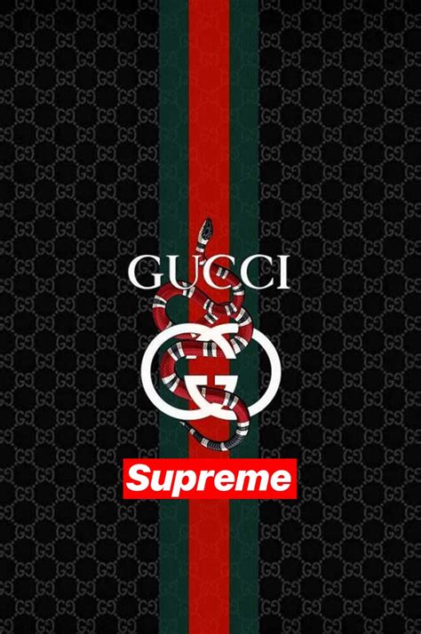 supreme gucci vans wallpaper|gucci x supreme background.